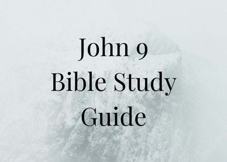 John 9 Bible Study Guide